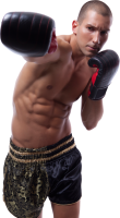 Man boxing PNG image