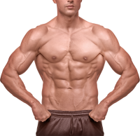 Мужчина мышцы PNG фото