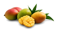 Mango PNG fruit