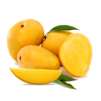 Mango PNG fruit