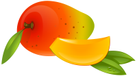 Mango PNG fruit
