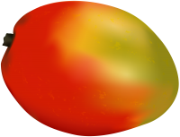 Mango PNG fruit