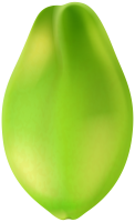 Mango PNG fruit