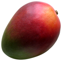 Mango PNG fruit