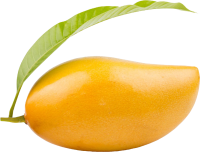 Mango PNG fruit