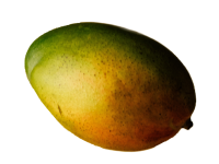 Mango PNG fruit