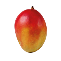 Mango PNG fruit