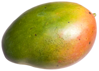 Mango PNG fruit