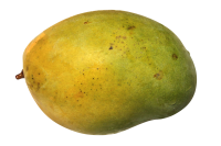Mango PNG fruit