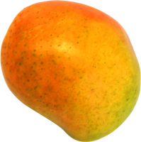 Mango PNG fruit