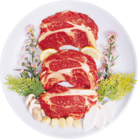 Meat PNG picture