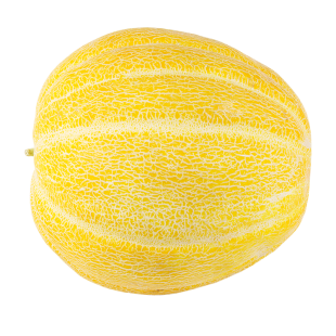 Melon PNG