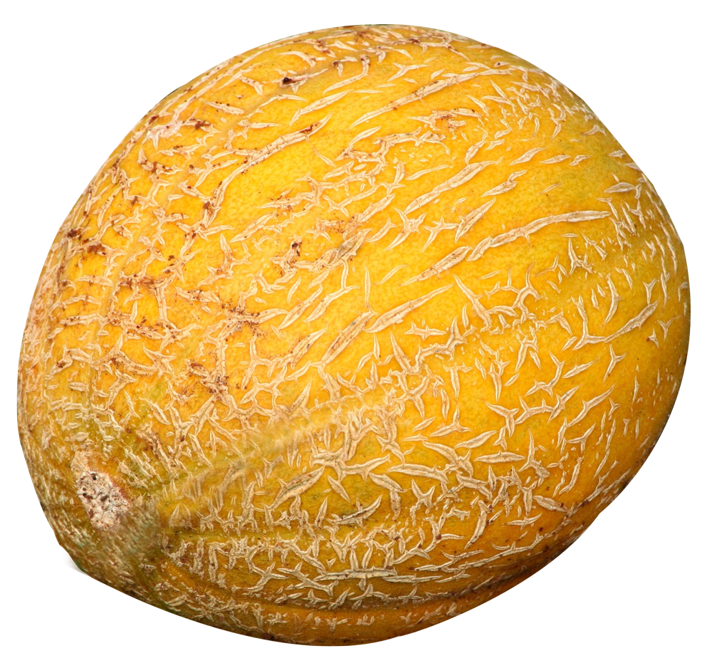 Melón PNG