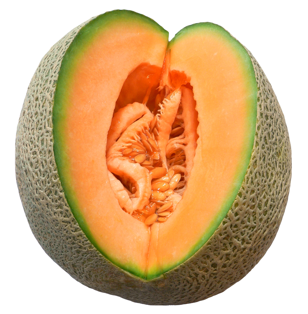 Melón PNG