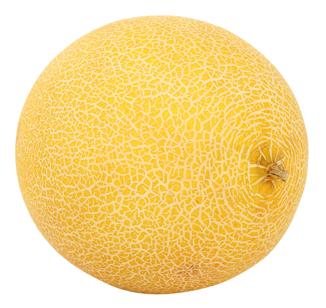 Melón PNG