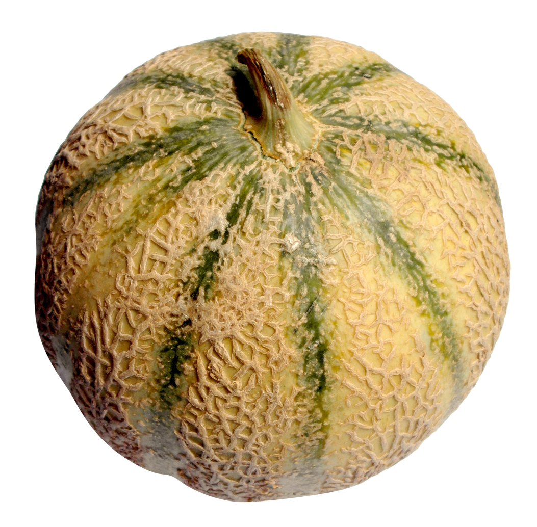 Melón PNG