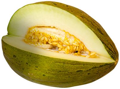 Melón PNG