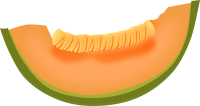 Slice melon PNG
