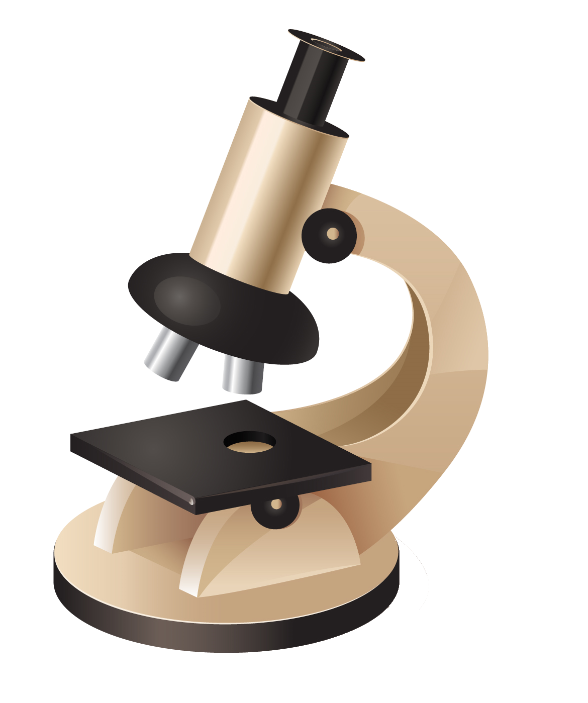 Microscope Png Transparent Image Download Size 1170x1399px