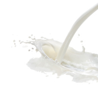 Молоко брызги PNG