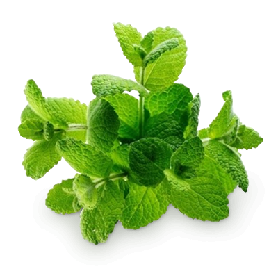Pepermint PNG
