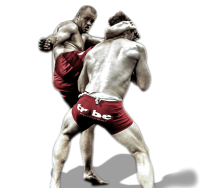 Mixed martial arts PNG, MMA PNG