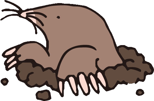 Topo PNG Topo PNG