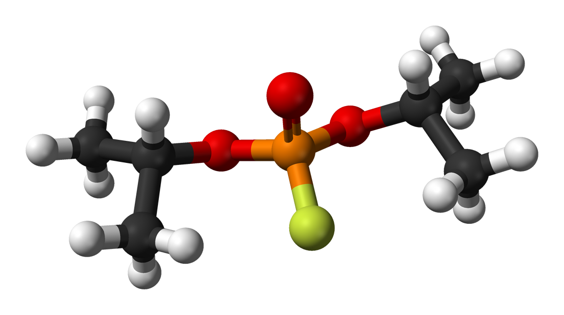 organic-chemistry-definition-video-bokep-ngentot