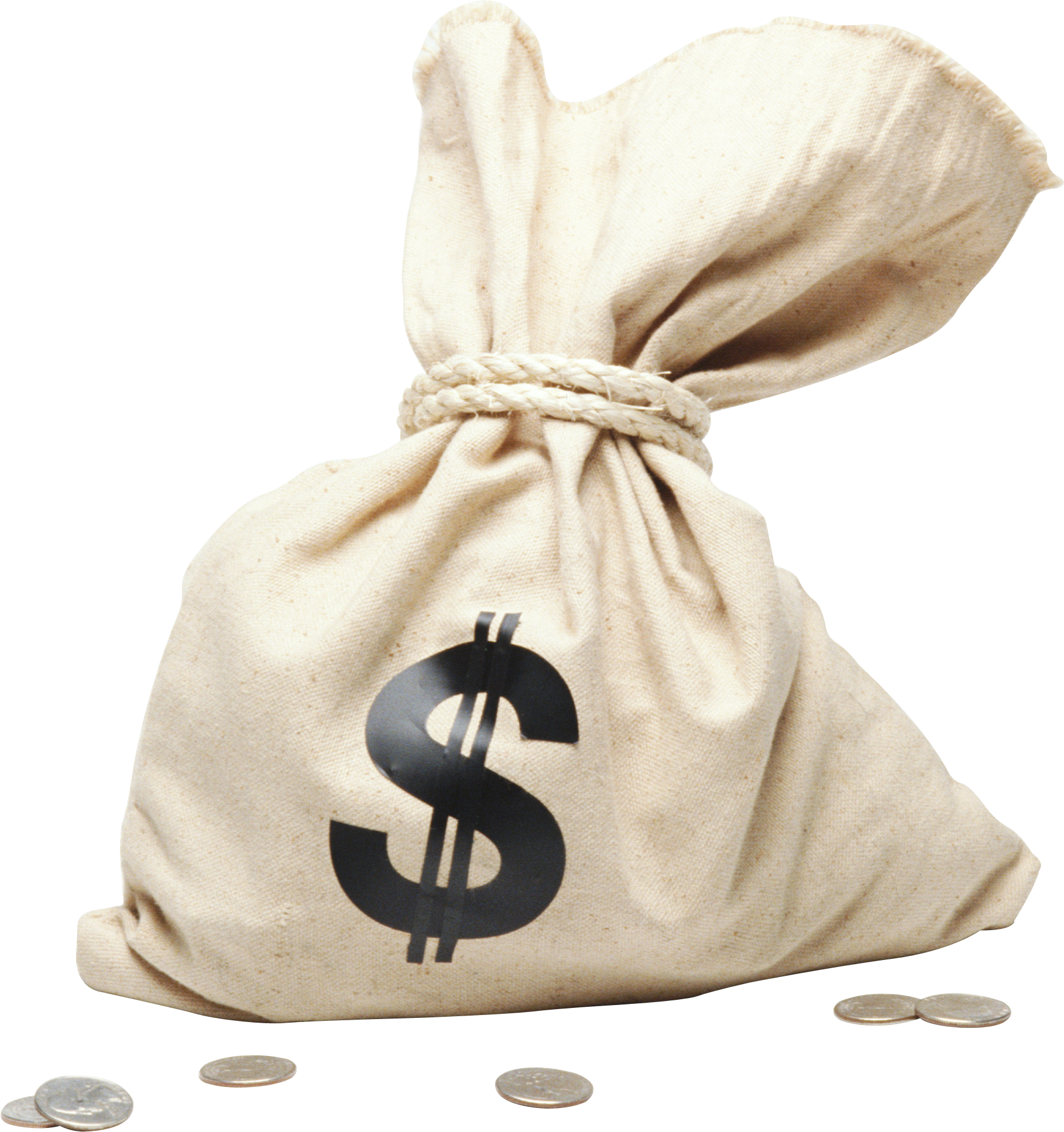 Money Bag Png Images - Free Download on Freepik