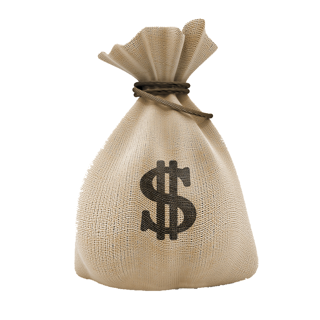 Money bag PNG image