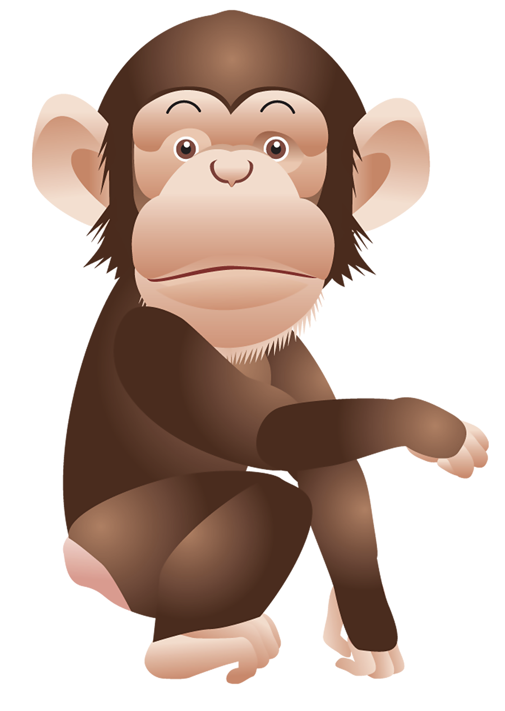 Monkey PNG