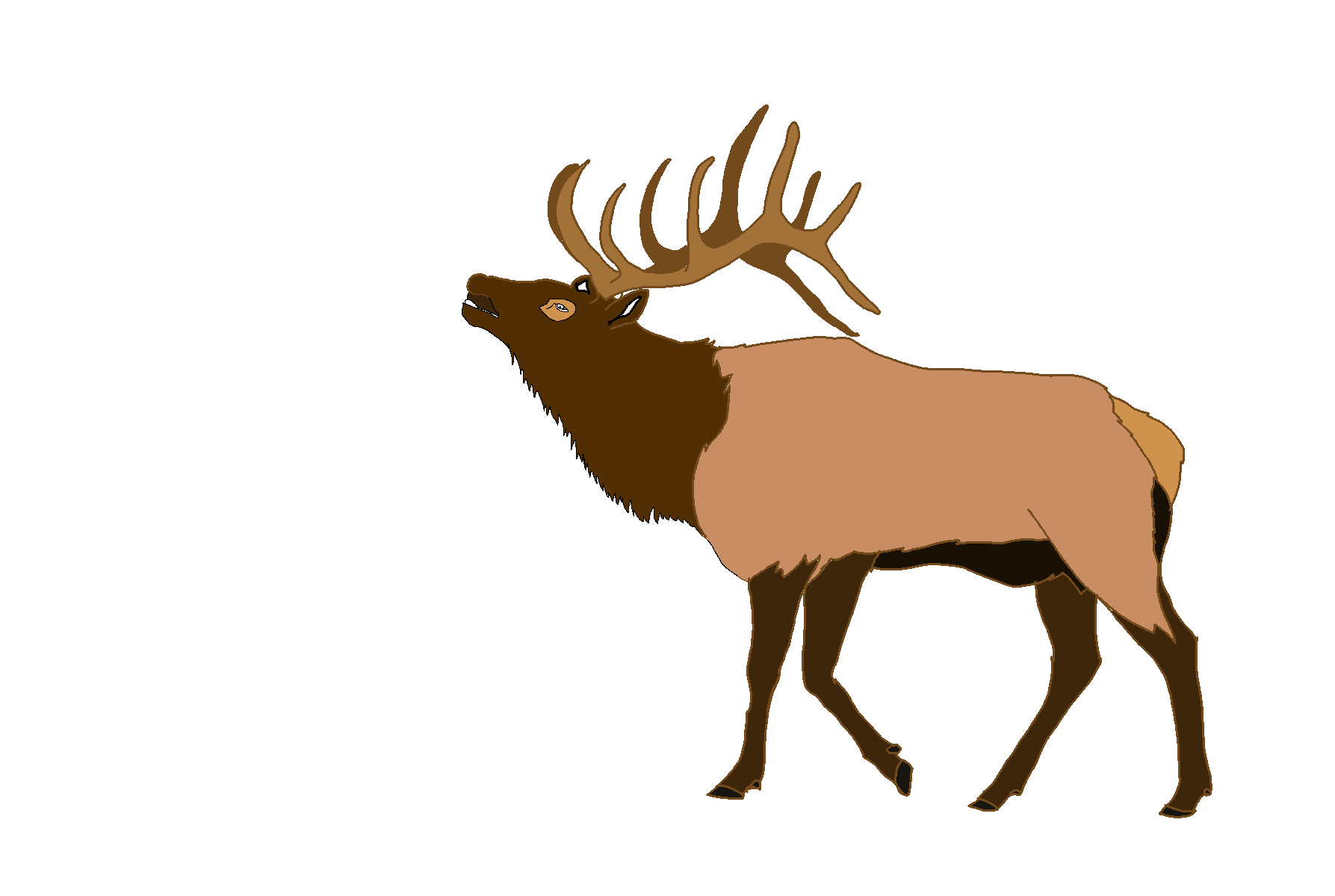 Moose, elk PNG