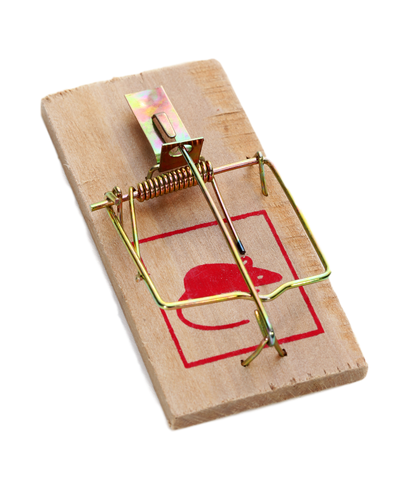 Mouse trap PNG