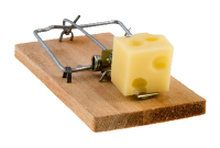 Mouse trap PNG