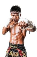 Muay Thai PNG