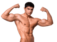 Muscle PNG