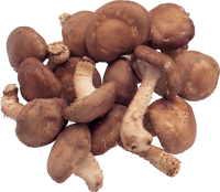 Mushrooms PNG image