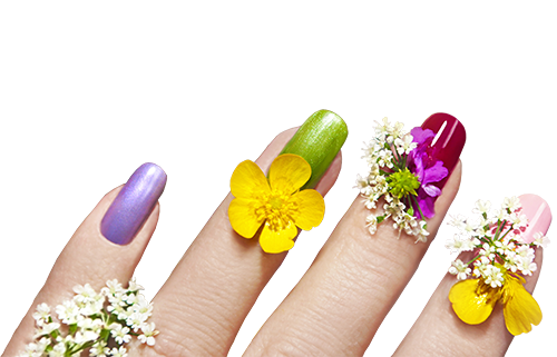 Uñas PNG