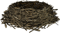 Nest PNG