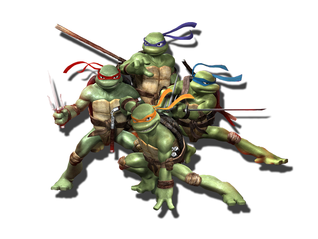 Ninja mutant tmnt cowabunga homedude bedrooms