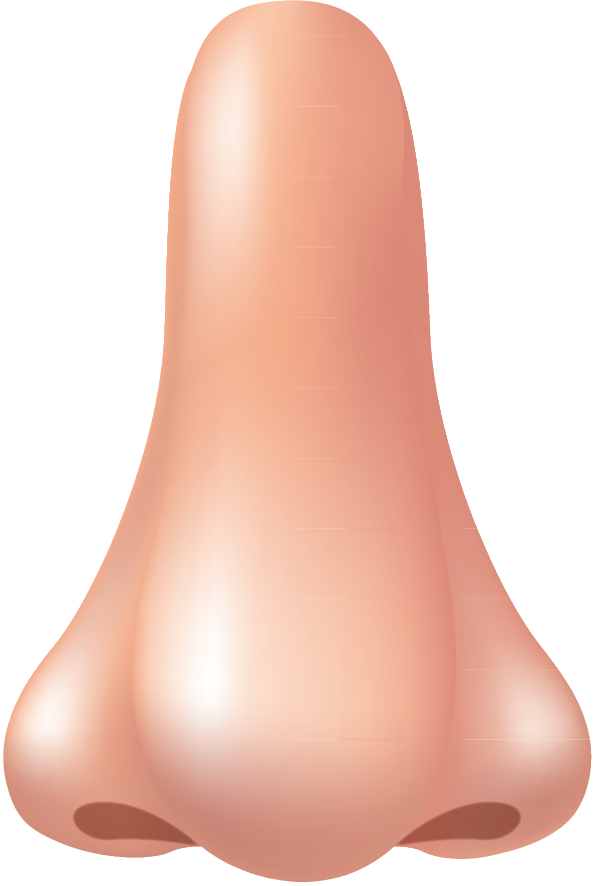 Human nose PNG