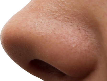Human nose PNG