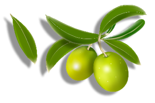 Olive PNG