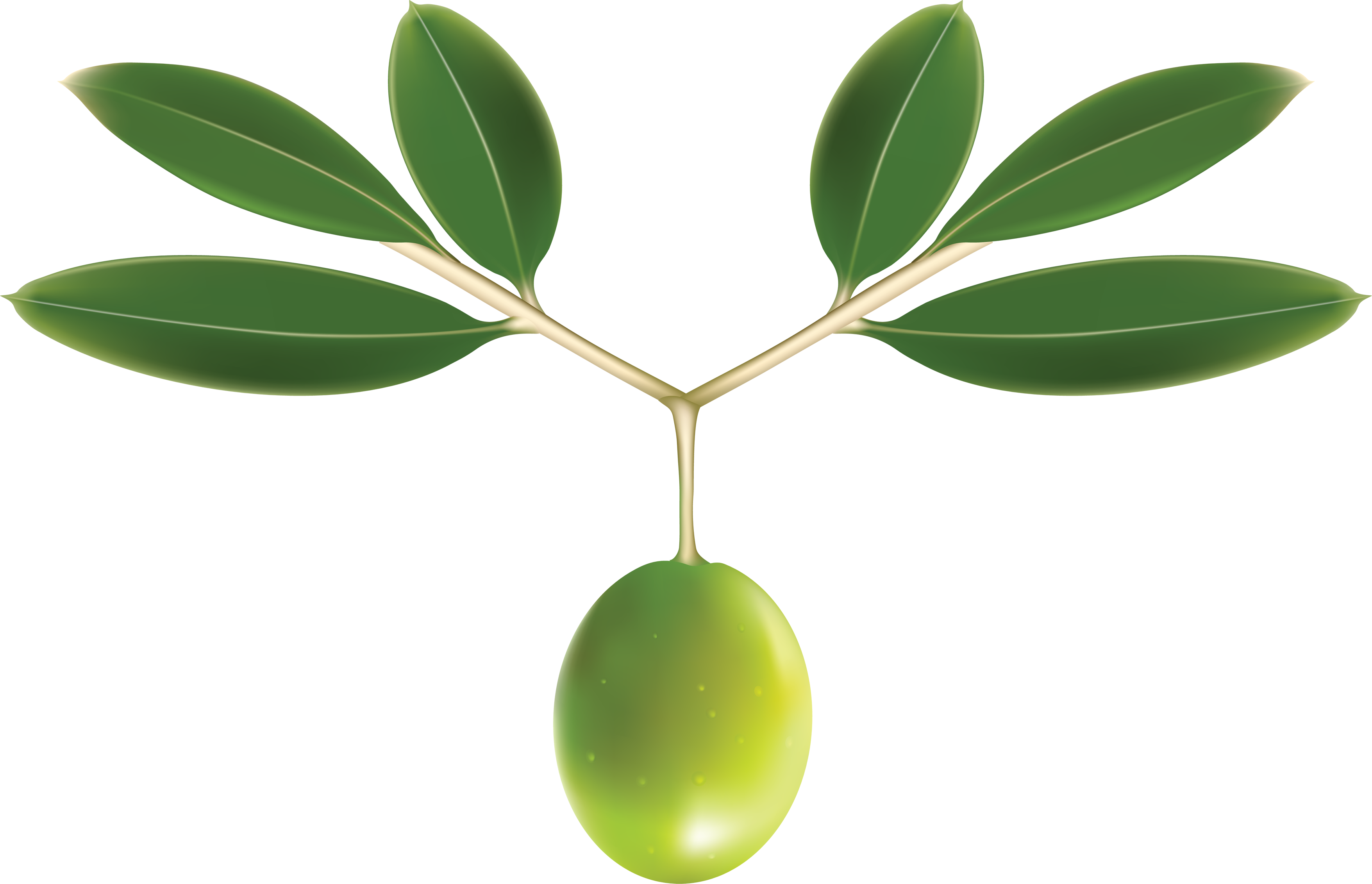 olive-png