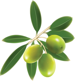 Olives