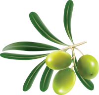 Green olives PNG