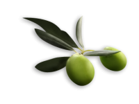 Оливки PNG