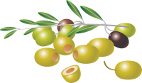 Зеленые оливки PNG