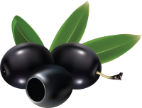 Черные оливки PNG