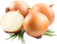 Onion PNG image